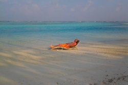 Jirka relaxuje na pláži