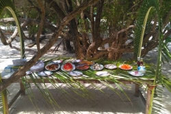 Maledivy, výlet na ostrov Vilingili, BBQ