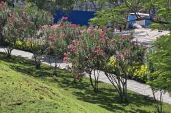 Central Park Hulhumale