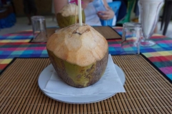 čerstvý kokos