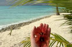 ostrov-Dhigurah-10