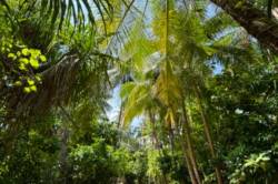 ostrov-Dhigurah-11