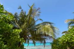 ostrov-Dhigurah-9