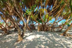 bikini-plaz-Dhangethi-Maledivy-7