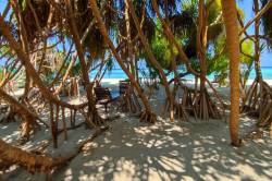 bikini-plaz-Dhangethi-Maledivy-8