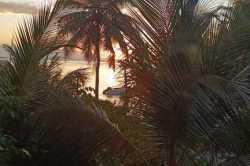 Dhangethi-7