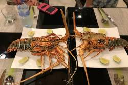 Hotel-Goidhoo-Maledivy-slavnostni-vecere
