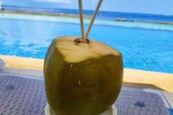 kokosovy-orech-u-bazenu