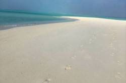 sandbank