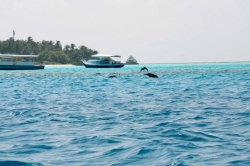 Dovolená na Maledivách - Kamča a Martin