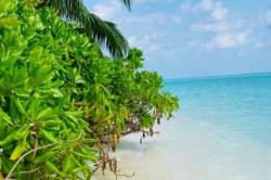 Maledivy-plaz