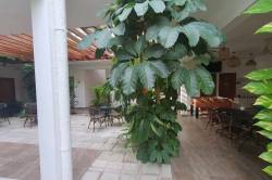 restaurace