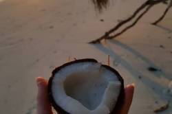 recenze-Fulhadhoo-Maledivy-kokos