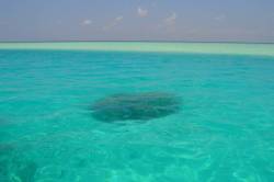 tyrkysové moře Maledivy