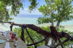 Malahini-Kuda-Bandos-11