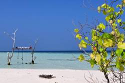 ostrov-Omadhoo-Maledivy