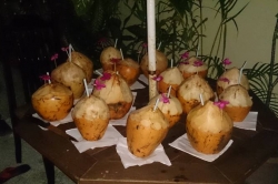 Dovolená na Maledivách - čerstvý kokos
