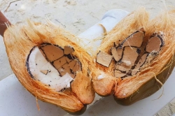 vnitřek kokosového ořechu
