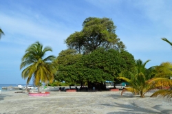 ostrov Feridhoo