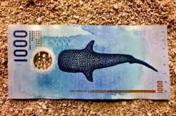 Prekrasne-bankovky-Maledivy