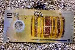 bankovka-10-rupii-zadni-strana