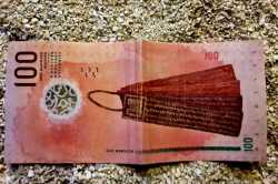 bankovka-100-rupii-zadni-strana