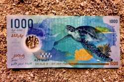 bankovka-1000-rupii-predni-strana