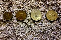 mince-rupie-Maledivy-zadni-strana