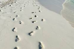 stopy v písku Maledivy