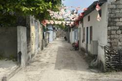 uliccka