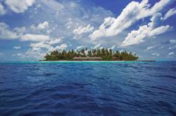 Malahini Kuda Bandos