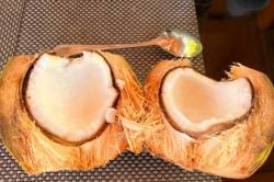 cerstvy-kokos