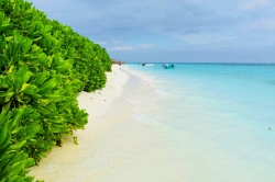 Thoddoo - Maledivy