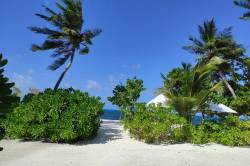 IMG_20211111_084631