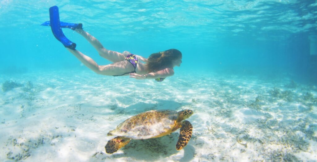 pod vodou se želvou