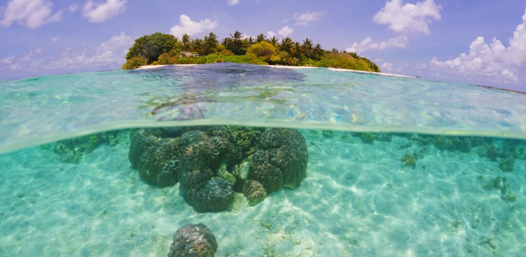 korálový útes a ostrov na Maledivách
